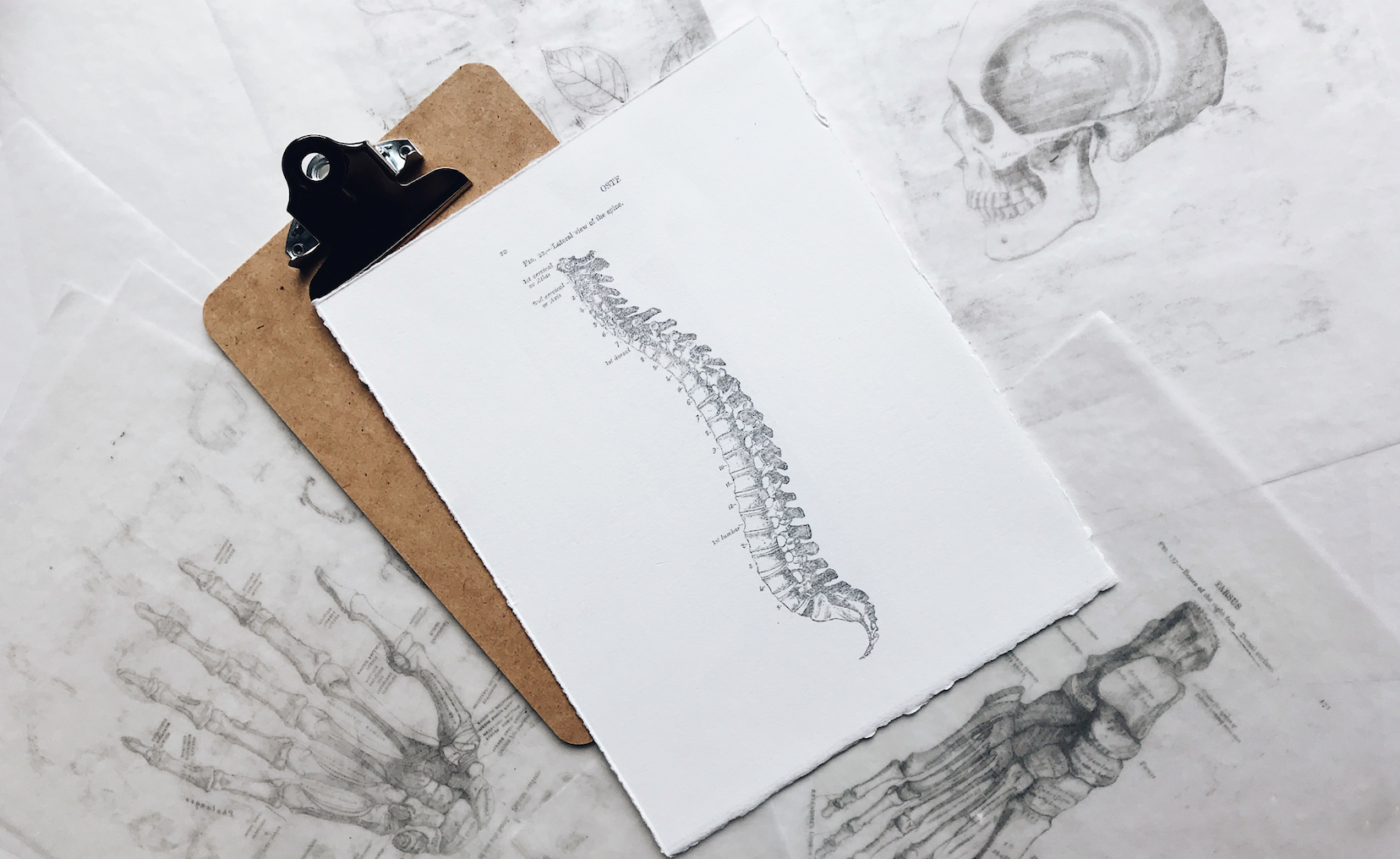 Back Pain Facts Quiz (Questions & Answers)